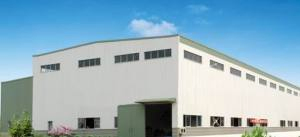 Hight Quality China Professinoal Design Steel Structure Warehouse/Shed /Building/Project Faabrication