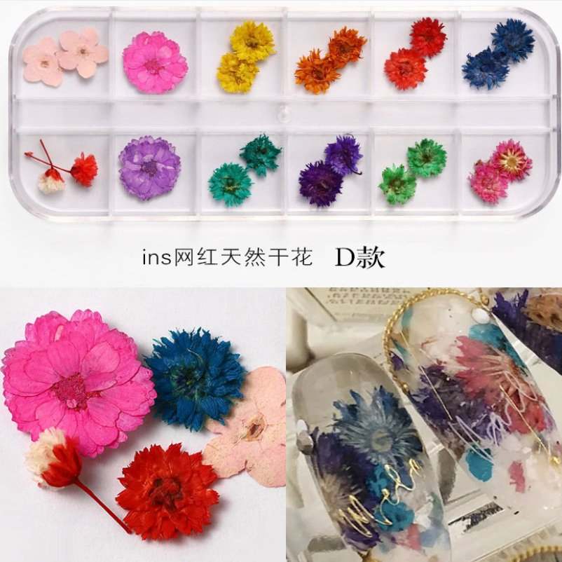 Nail Dried Flowers 12 Color Star Sun Flower Small Daisy Dry Flowers Decoration