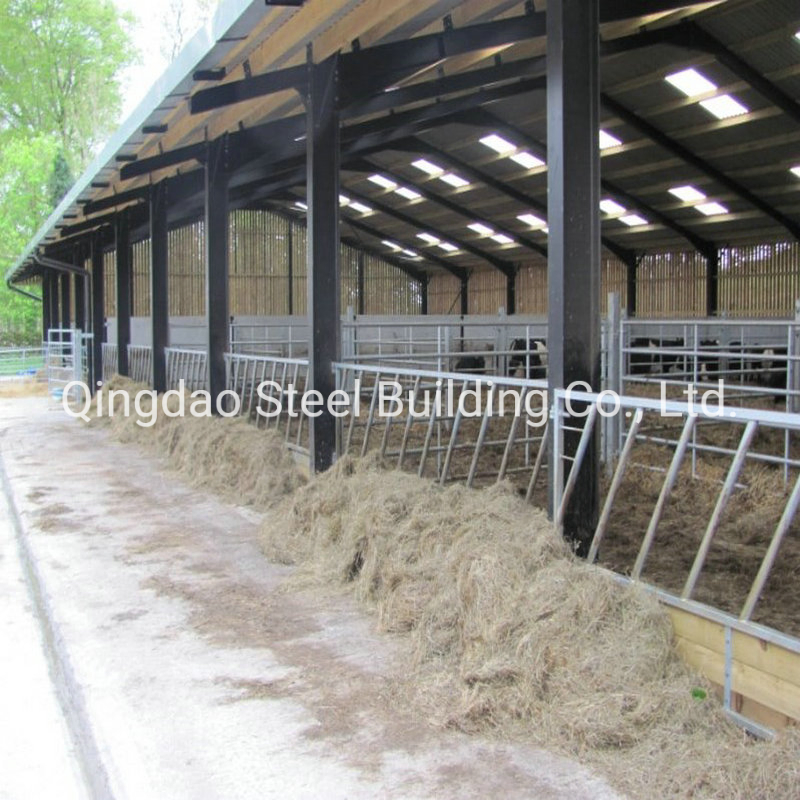 Prefabricated Steel Structure Animal Farming Design Sheep Shed House Building