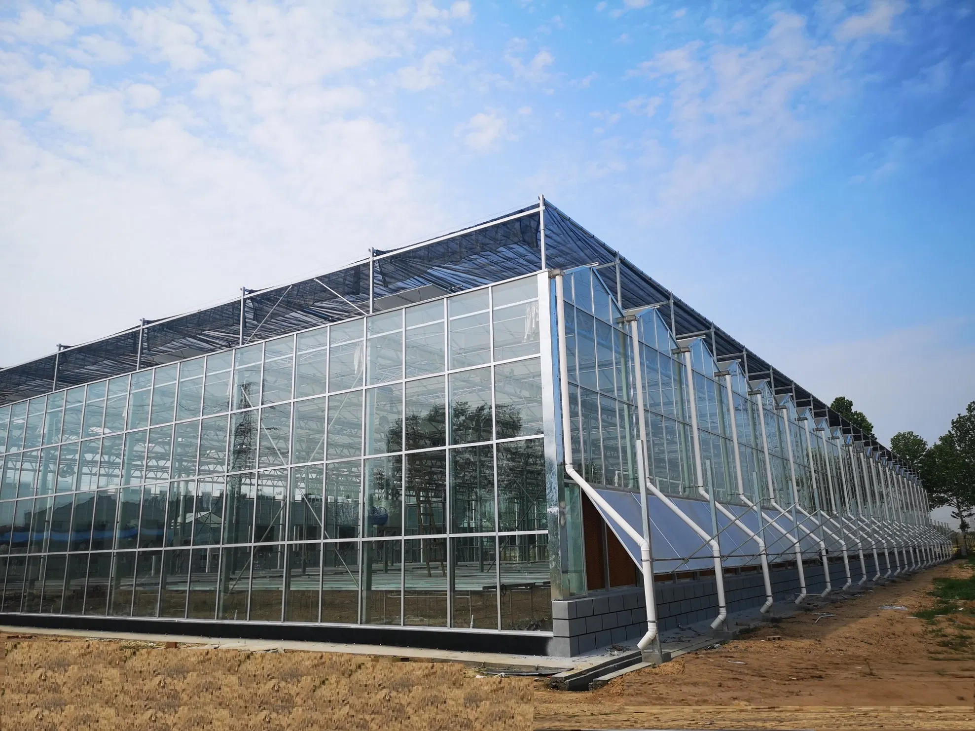 8mm 10mm 12mm Clear/Ultra Clear Greenhouse Glass Tempered Glass