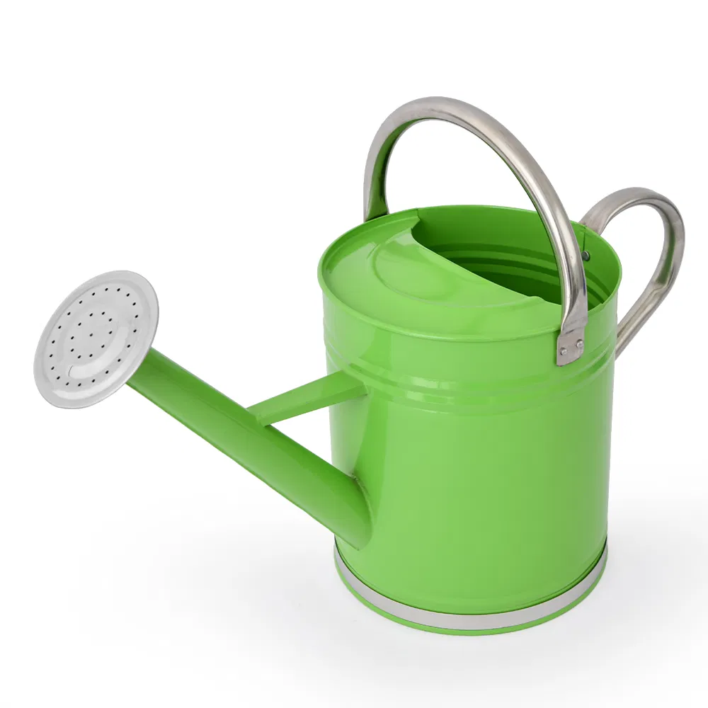 Heavy Duty 4L Metal Garden Watering Can/Pot/Kettle Detachable Sprinkler Head Sprayer with 2 Water Outlet for Plants Irrigation