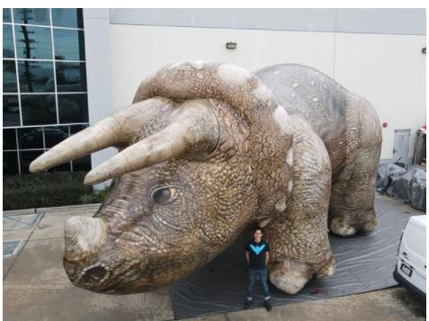 2023 New 25'x50' Giant Inflatable Realistic Triceratops Dinosaur (front view)
