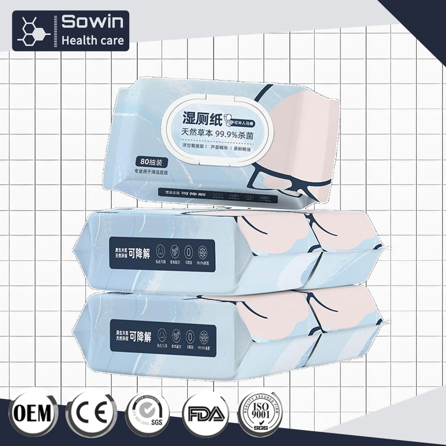 Healthcare Flushable Plant Maintenance Antibacterial Wet Toilet Paper Cleaning Wipes
