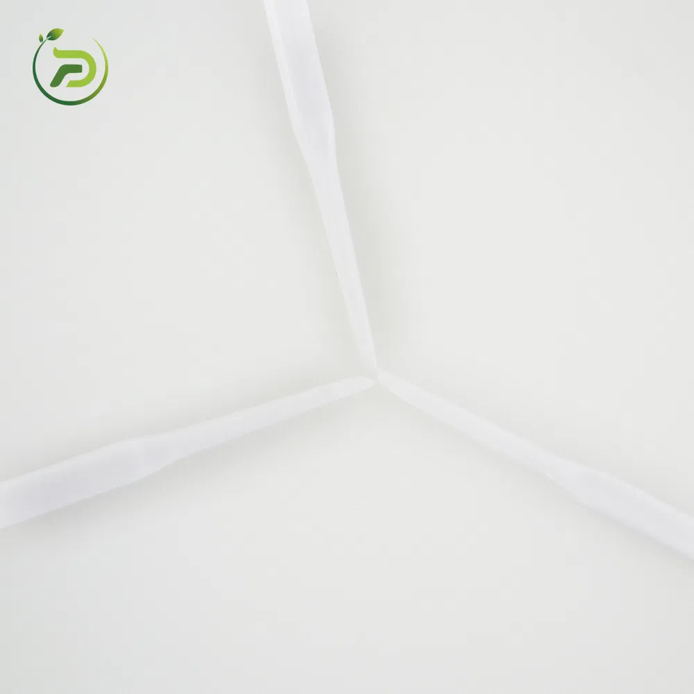 Eco Friendly Orthodontic Oral Care Biodegradable Dental Floss Pick Twin Line