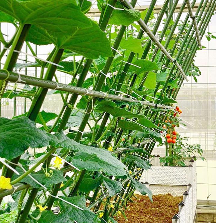 Подставка для растений садовая металлопластик 11 мм