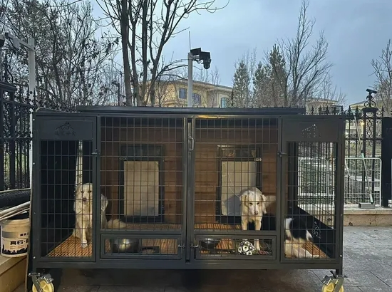 Climate-Adaptable Easy-Clean Elevated Pet Villa Dog House