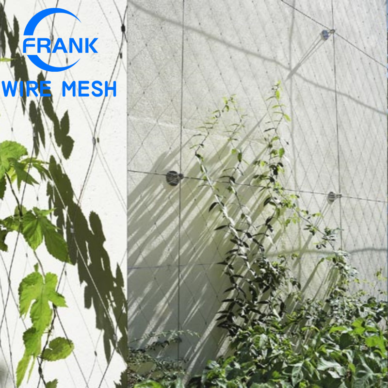 Anping Factory Durable Flexible Architectural Decorative 80mm*80mm Aperture 304 316 Stainless Steel Cable Wire Rope Net for Garden Plant Climbing Support Mesh