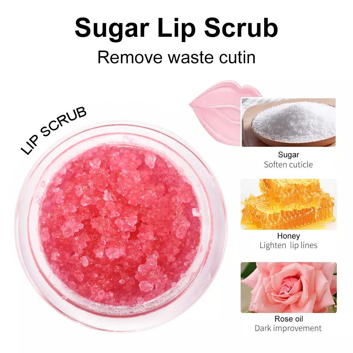 Factory Price Naturally 4 Flavors Lip Scrub Private Label Brown Lip Scrub Bulk Cosmetics