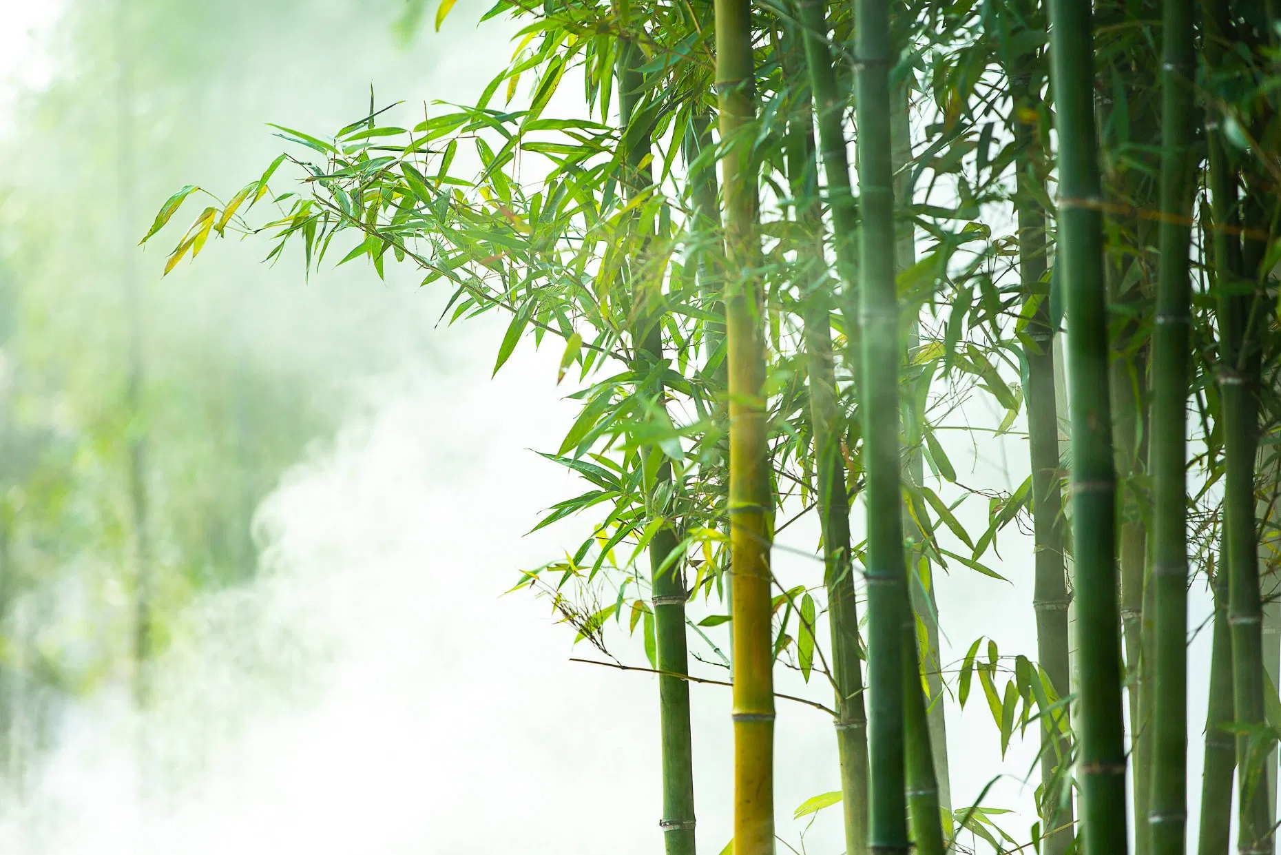 Бамбуковая подставка для пряжи с держателем телефона