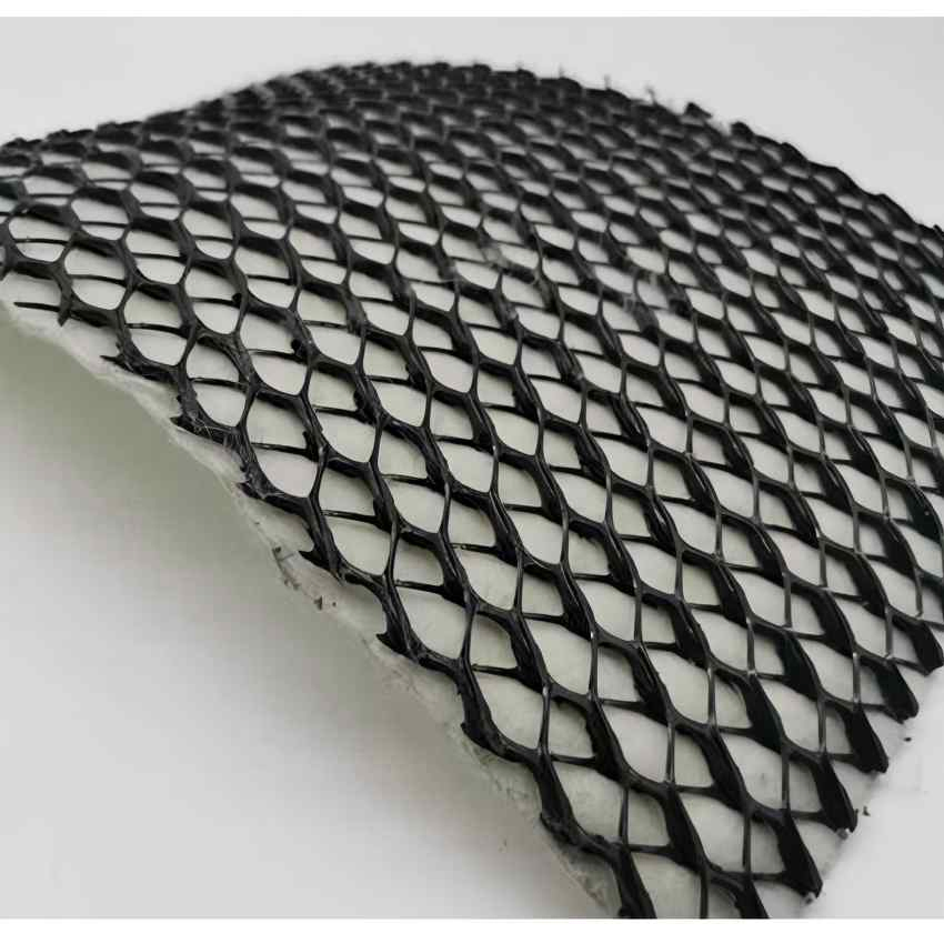 China Manufacturer Drainage Board 3D Geocomposite Geonet Drainage Net for Landfill Railway Construction