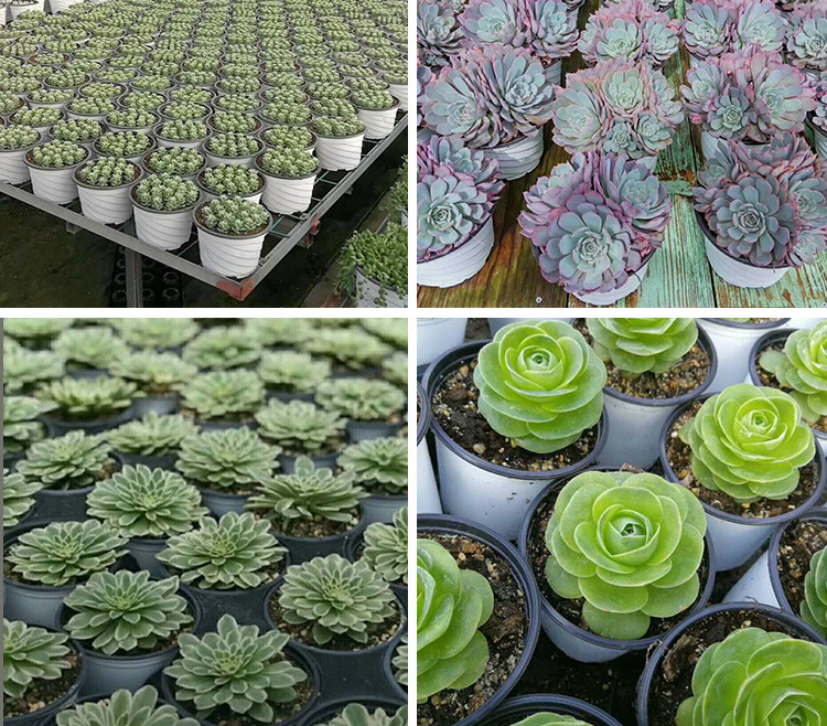 Горшок цветочный пластиковый для дома и сада