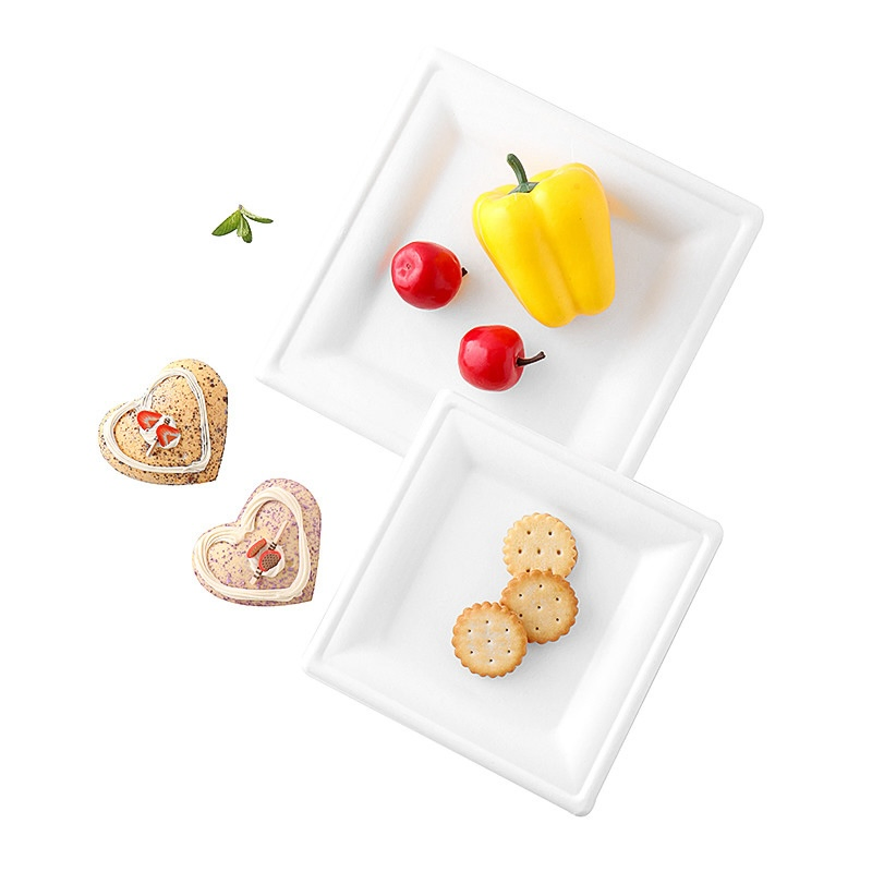 Овальная тарелка из багассы, биоразлагаемая