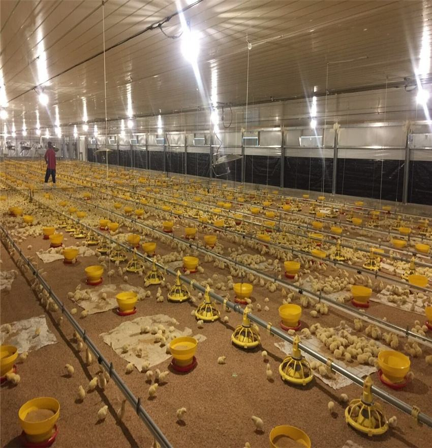 Portable Chicken Portable House Price Prefabricated Shed Steel Poultry Farm Construction