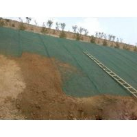 High Quality Em2/Em3/Em4/Em5 Green 3D Geomat for Slope Protection