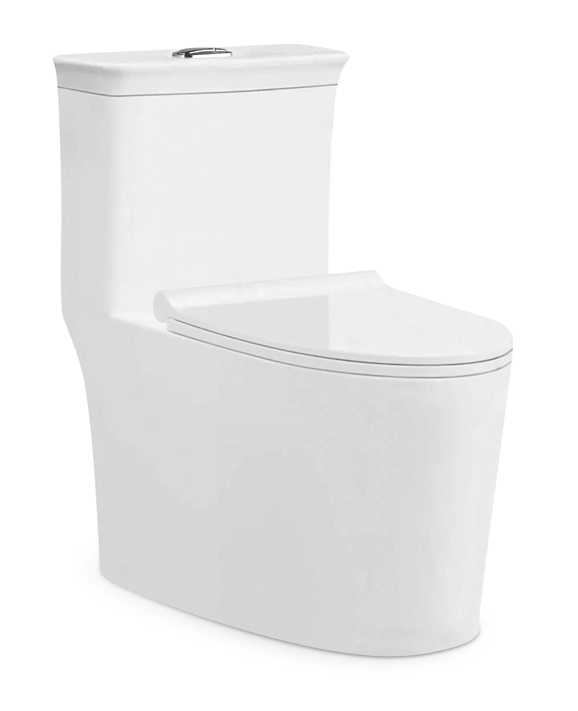Eco-Friendly Frost-Resistant Modern Ceramic Toilet for Home