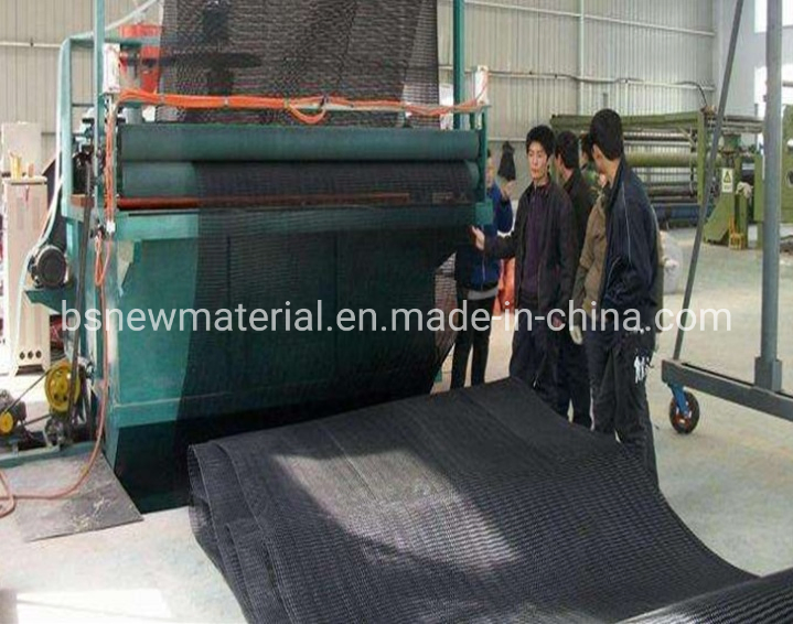 HDPE Plastic Geonet for Drainage