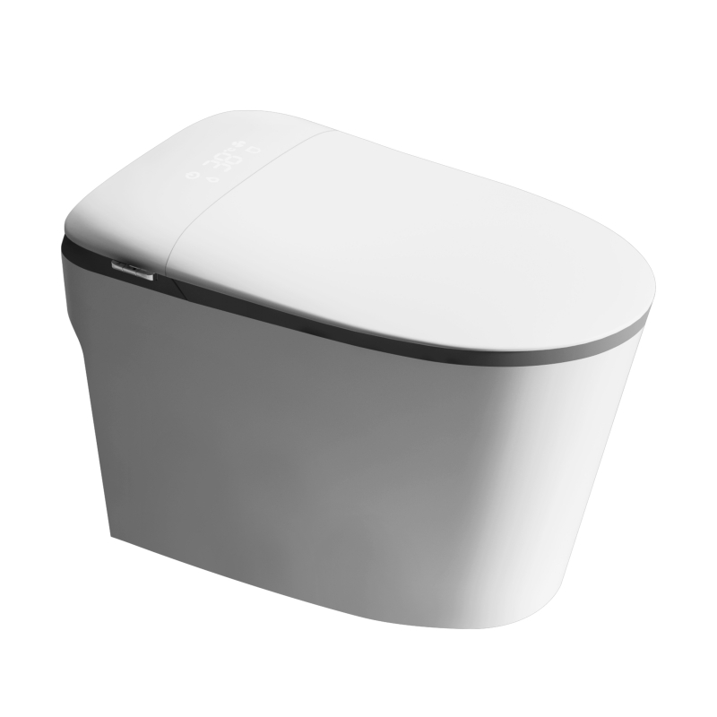 Bestselling Simple and Fashionable Ceramic Remote Control Intelligent Toilet