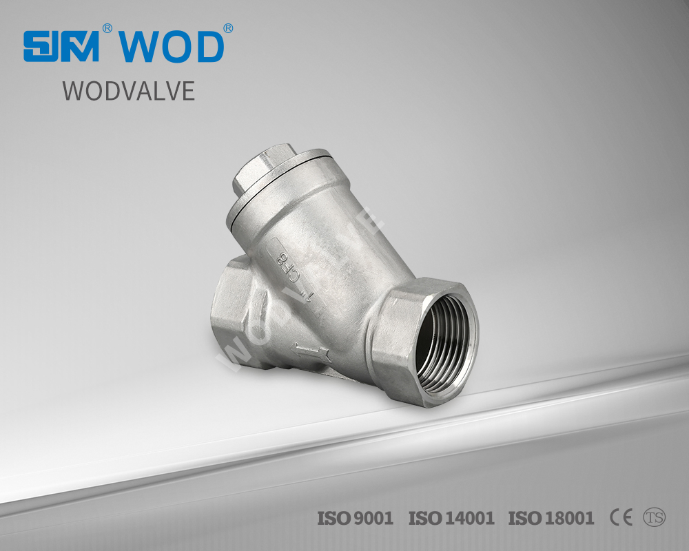 40/80/100 Mesh SS304 SS316 Y-Type Bsp Thread Filter Strainer