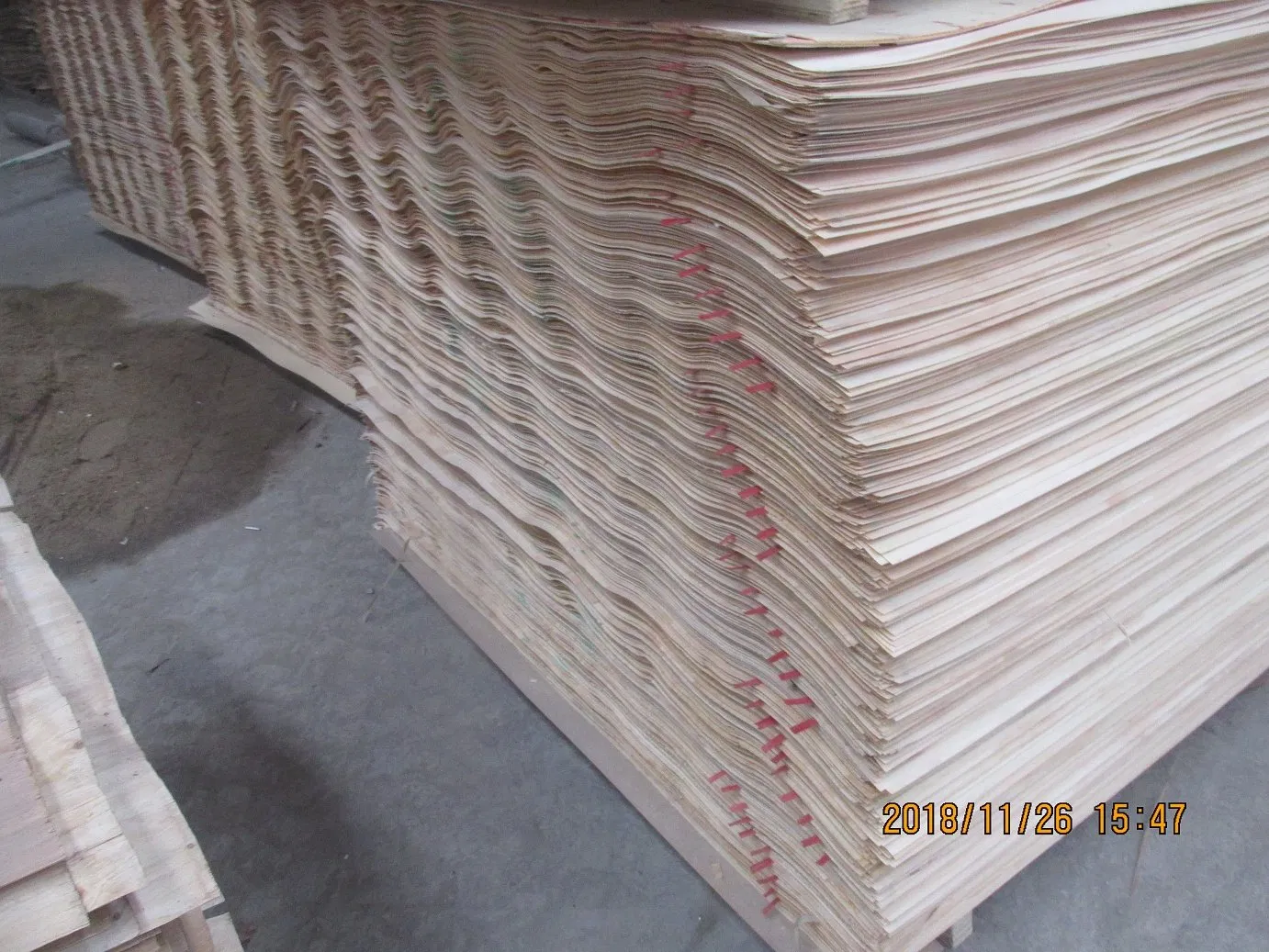 Pine Veneer Pine Veneer 0.6mm 0.7mm Radiata Pine Wood Veneer for Plywood Face and Back