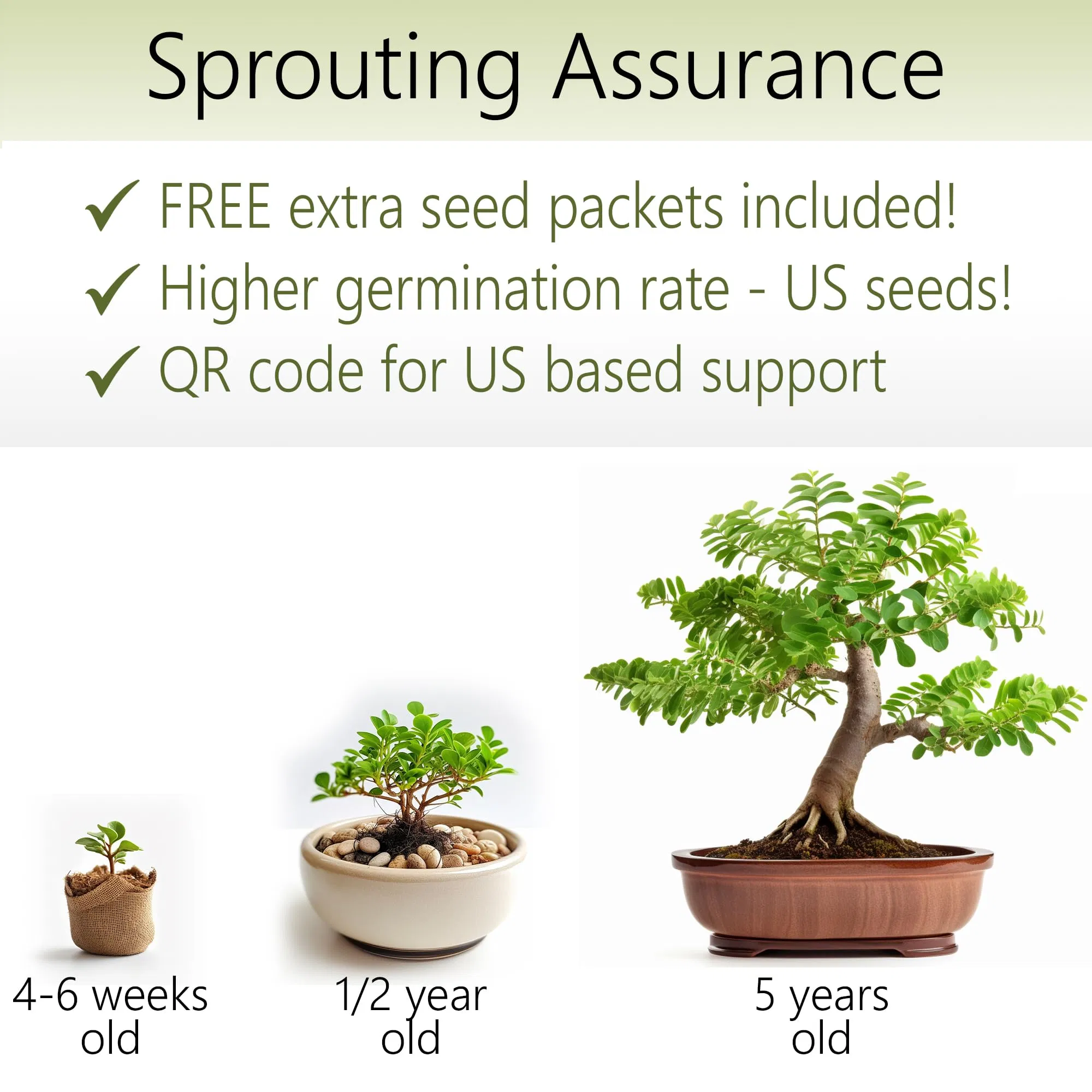 Bonsai Starter Kit W/Seeds Locust Bonsai Tree Complete Indoor Starter Kit for Growing Plants with Bonsai Seeds Tools Planters Gardening Gifts for Woman