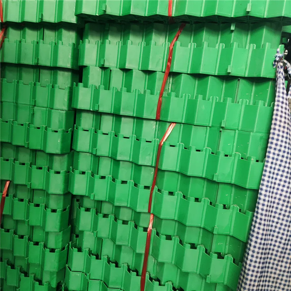 Plastic Grid for Paving Road Factory Price
