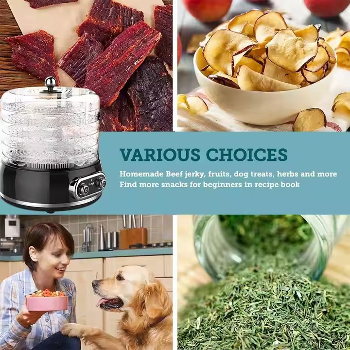 Premium Compact Food Dehydrator: Home & Commercial Fruit Dryer for Small Appliances