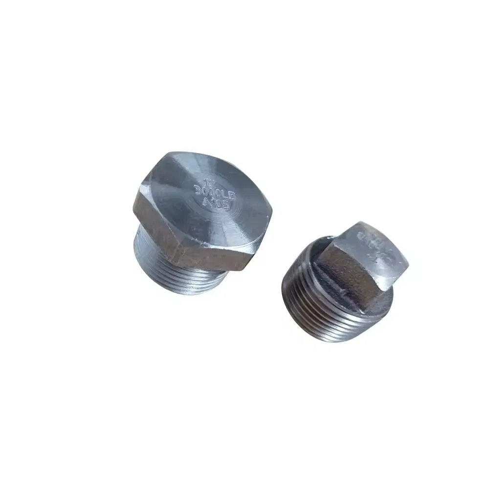 High-Quality ASTM A105 Forged Carbon Steel Pipe Plug for Hydraulics