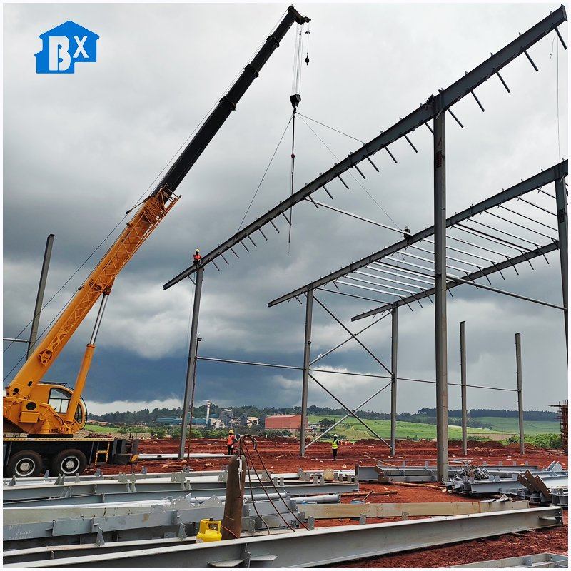 Custom Dimensions Workshop: Tailored Solutions for Your Unique Space Needs Unique Plant Arrangements: Custom Dimensions Workshop Experience for Green Thumbs