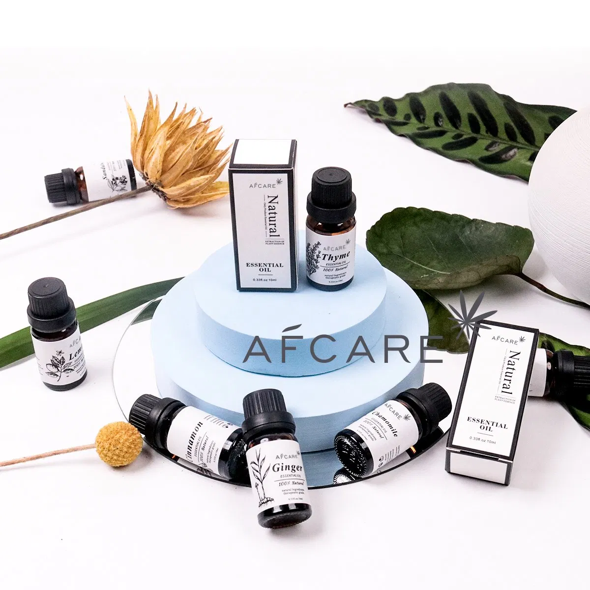 100% Pure Nature Organic Pure Tea Tree Rose Fragrance Lavender Oil