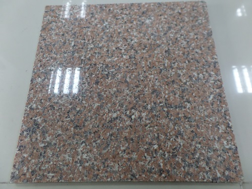 China Top Red Granite/Island Red Granite/Red Granite for Floor/Background