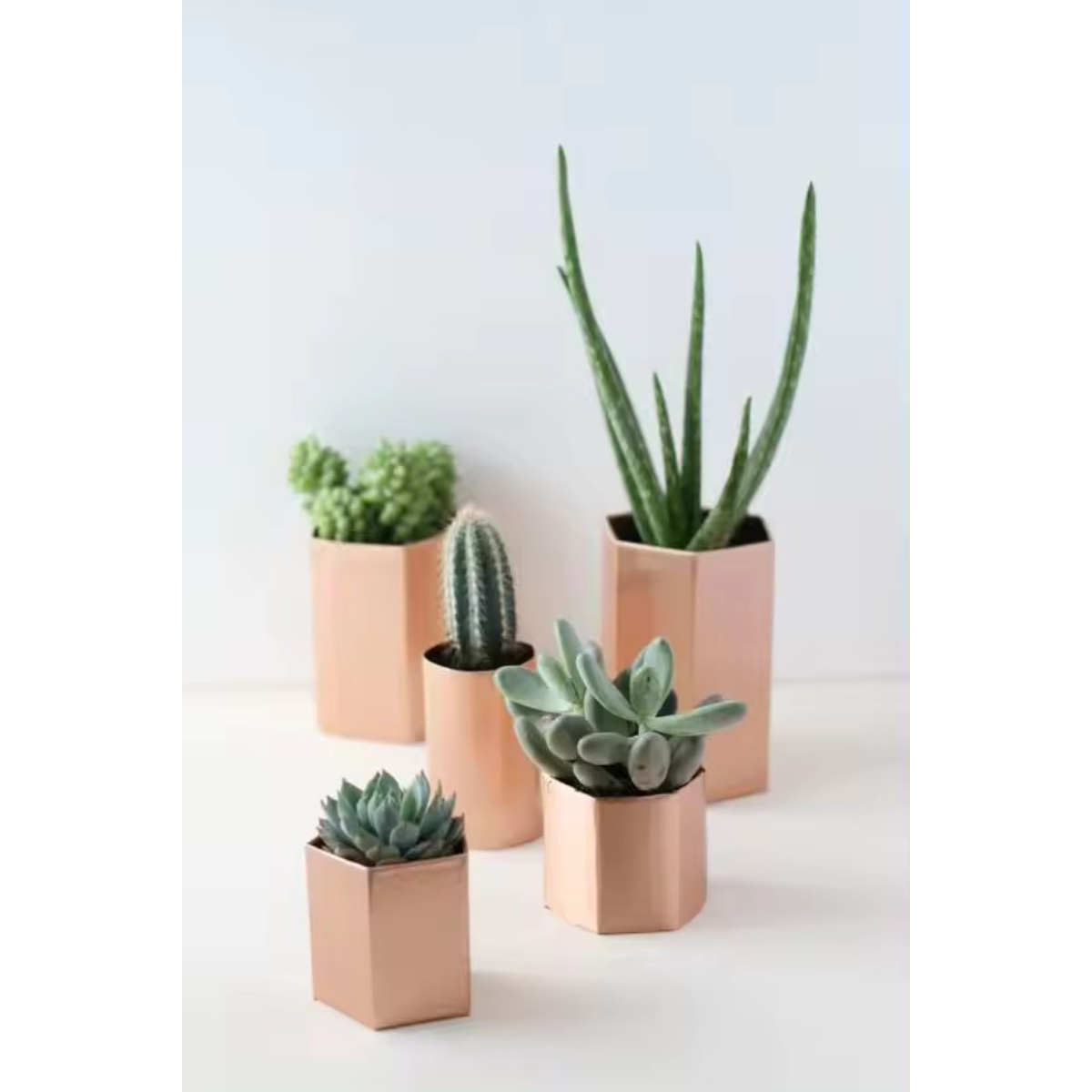 Набор горшков садовых для растений