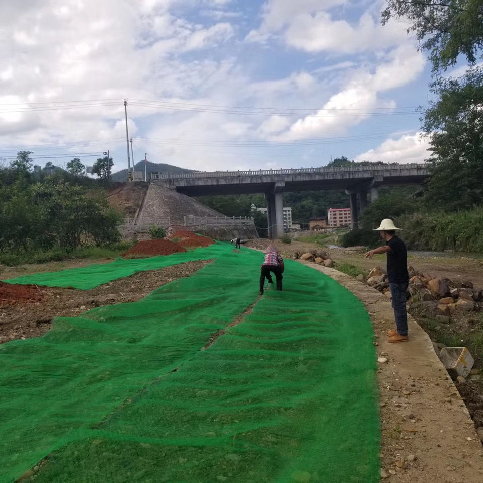 Turf Reinforcement Mesh/Rectangular Shape/260g Erosion Control Mat