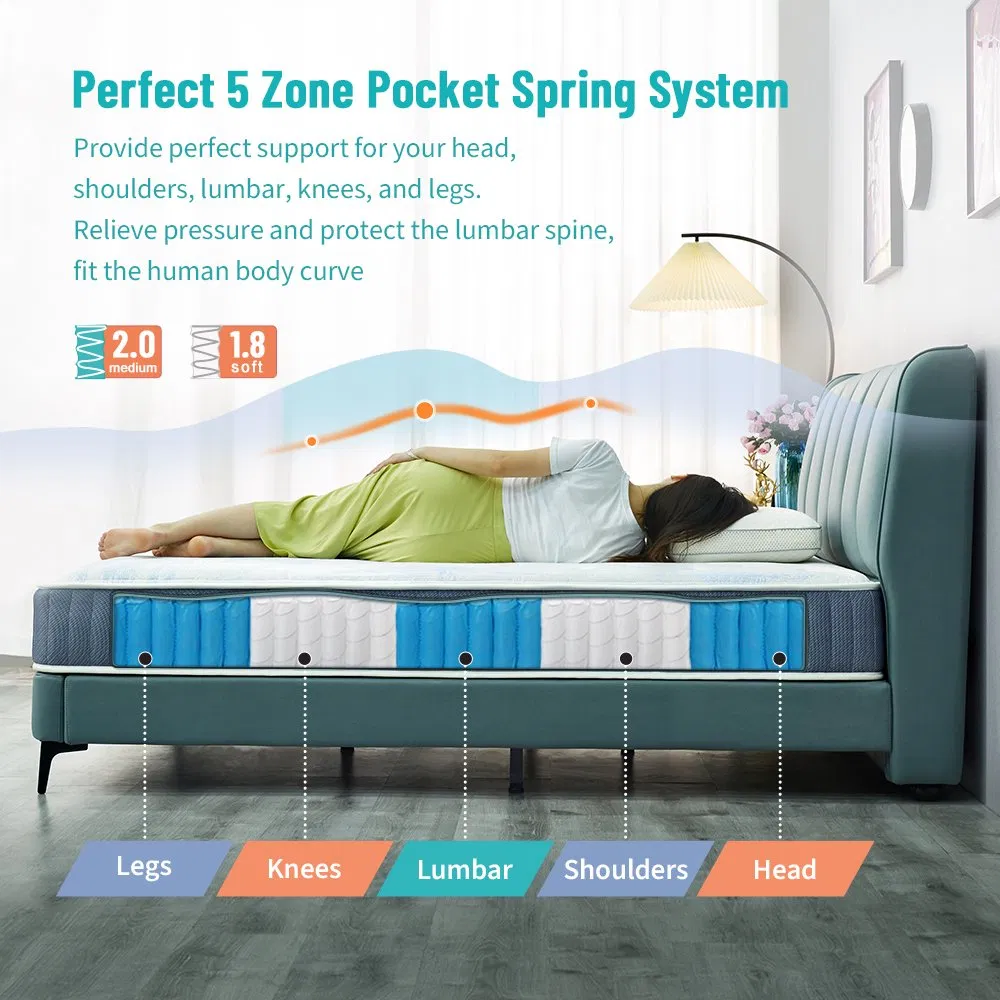 Hot Sale Best Mattress Factory Healthy Sleep Full Inch King Size Wholesale Massage Pocket Spring Mattress in a Box Luxury Hilton Hoetal Mattress