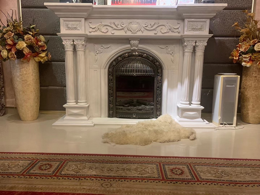 Simple and Classed White Onxy Marble Fireplace