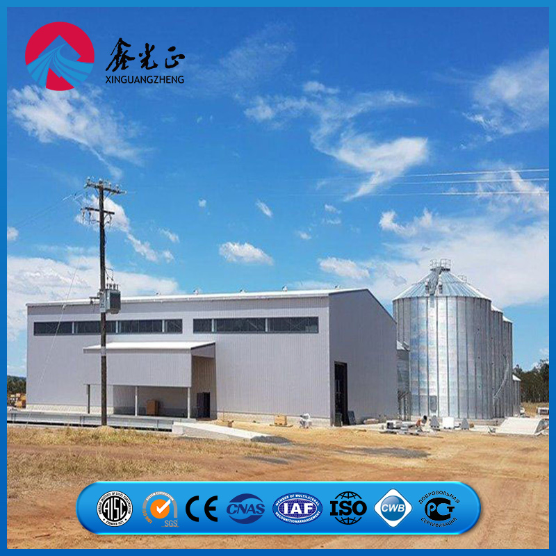 Heavy-Duty Steel Roof Support Grid Chicken Prefab Metal Farming Equipment Steel Structure Sheep/Goat/Pig/Hog/Cattle/Cow/Poultry House/Shed