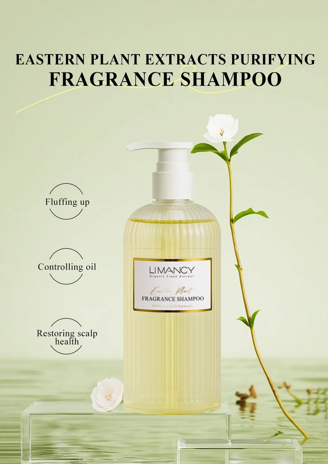 Hair Care Eastern Plant Extracts Fluffing Controlling Oil Restoring Scalp Health Shampoo