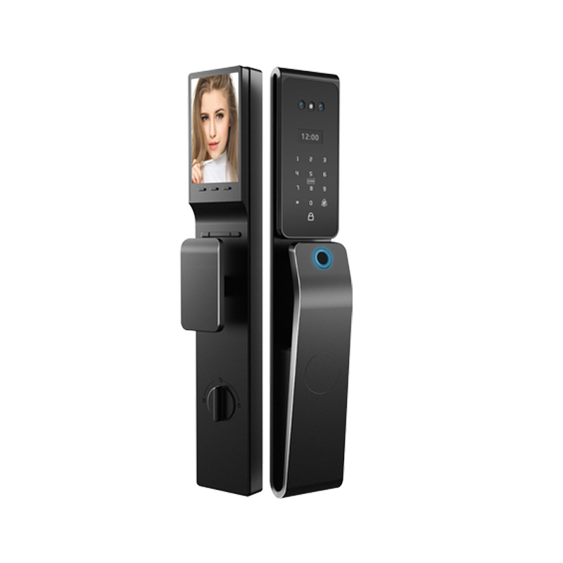 Zhongshan 3D Face Recognition Waterproof Smart Lock Factory Direct Sales