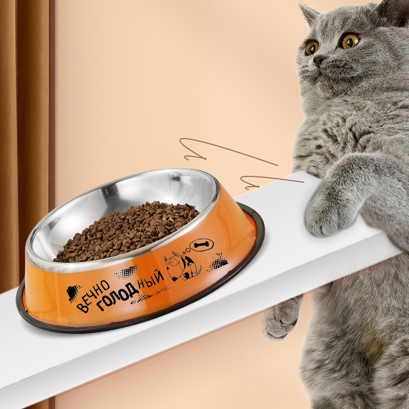 Colorful Pet Bowls for Dogs and Cats - Stainless Steel Feeding Dishes