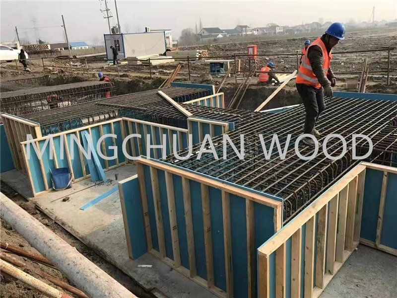 Full Plastic Material Construction Board Concrete Construction PVC Board
