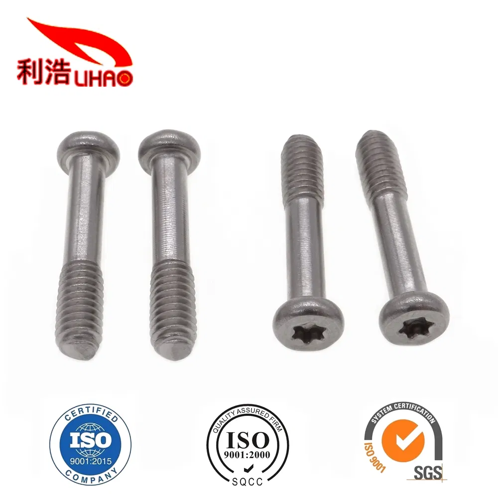 China Manufacturer Torx Flat Head Nonstandard Metal Machined Fasteners Screw