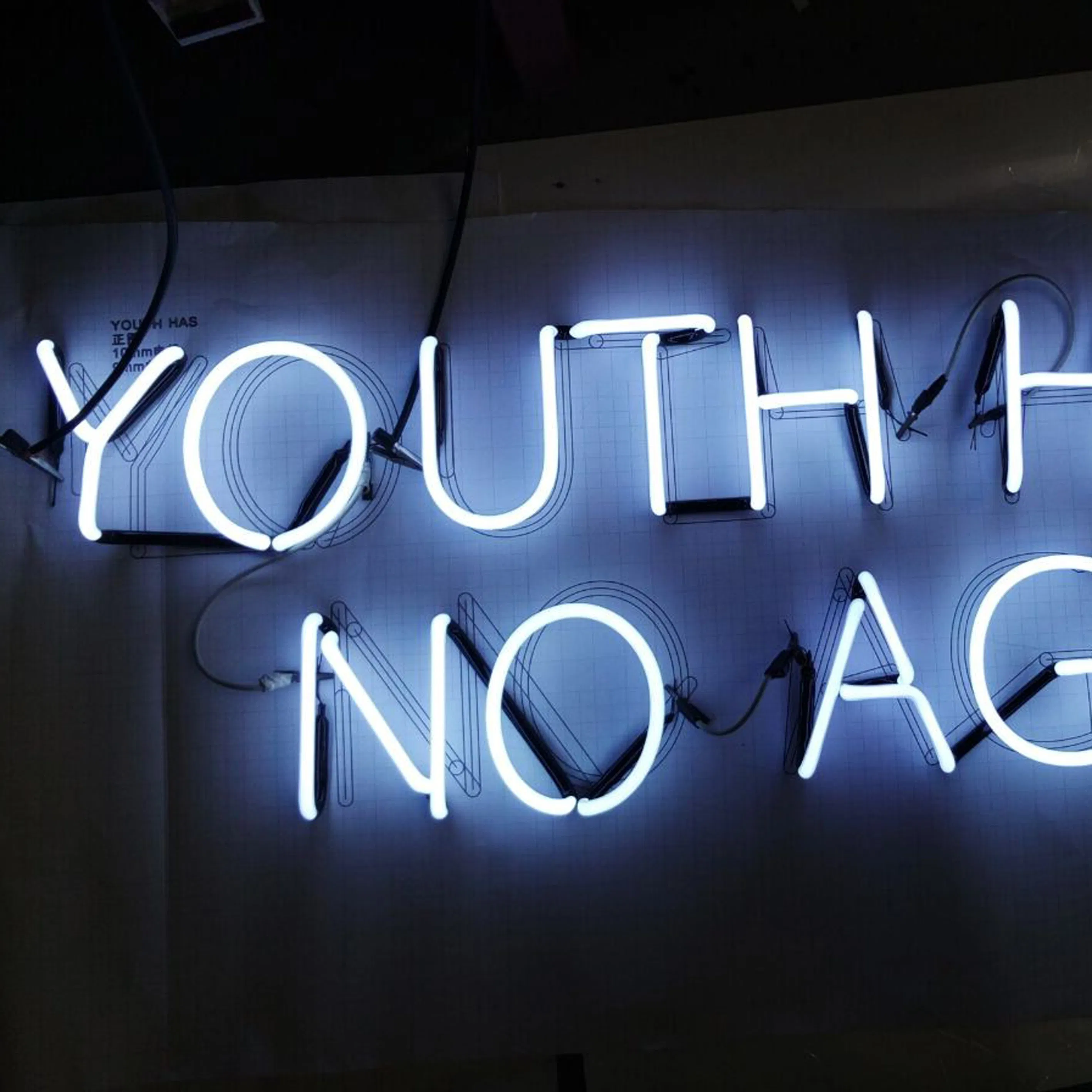 Custom Design LED Flex Neon Light Letter for Business Holiday Retail Shop