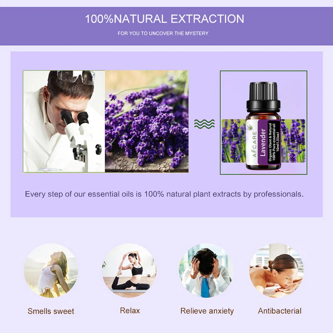 Sleeping Relaxing Aromatherapy Essential Oils for Face Lavender Drop