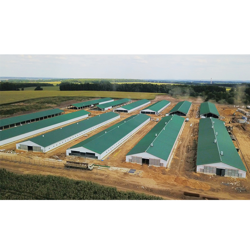 Prefabricated Quick Install Light Metal Frame Structure Design Automatic Construction Chicken Coop Broilers Layers House Poultry Farm Shed