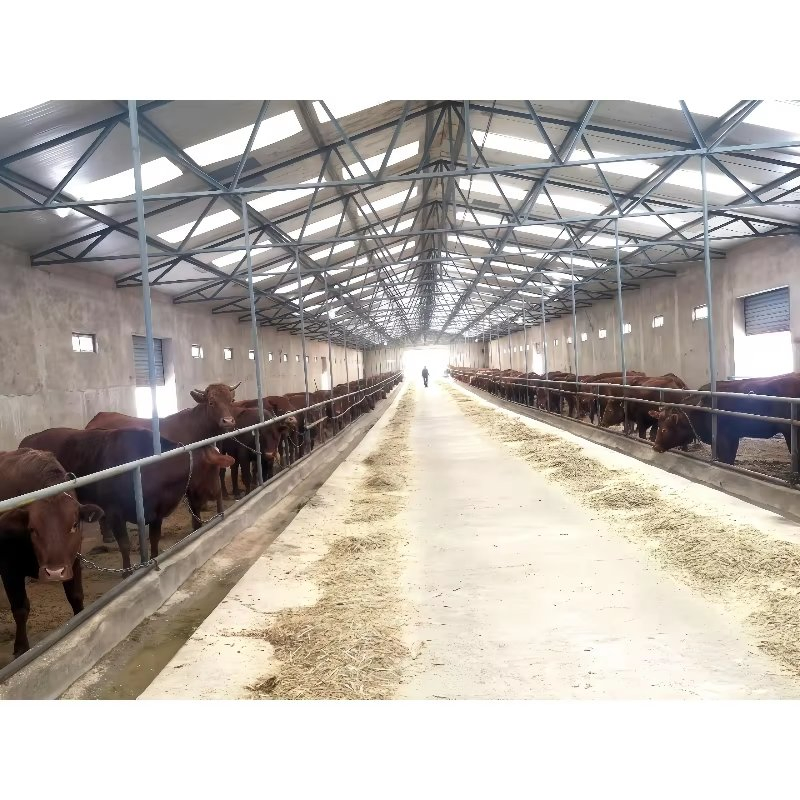 Large Capacity Modern Poultry Farm Steel Structure Animal House Layer/Broiler Chicken Coop Building for Automatic Battery Cage