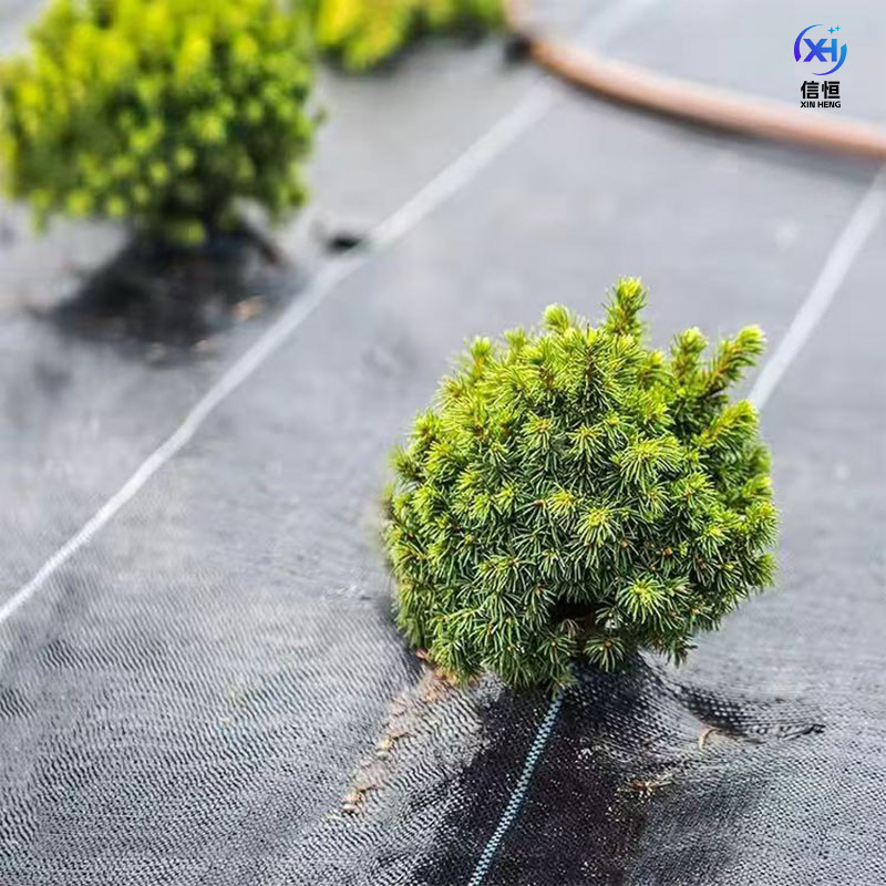 Safety Net Fence Netting Grass Laying Net for Good After-Service