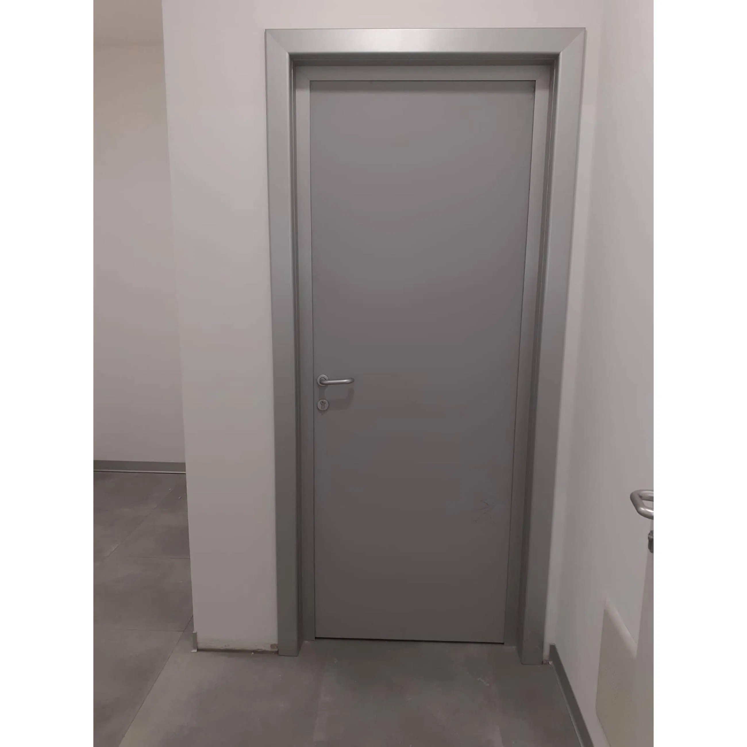 Modern Style 90 Minute Customization Exterior Steel Fire Rated Door