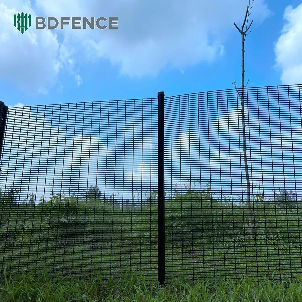 High Security Anti-Climb Clear View Fence for Prisons 358 Fence High Security Fences Mesh Wire Fencing