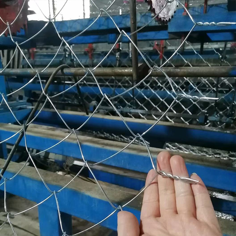 PVC Coated Galvanized Chain Link Fence Diamond Wire Mesh