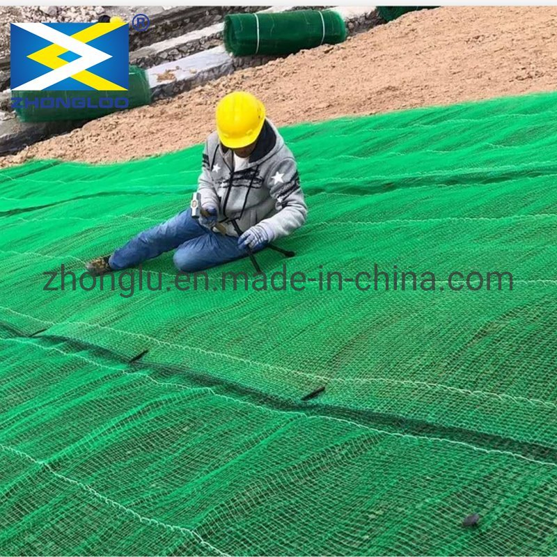 Mat Three -Dimensional Geomat Plastic 3D for Slope Erosion Control Reinforcement Project