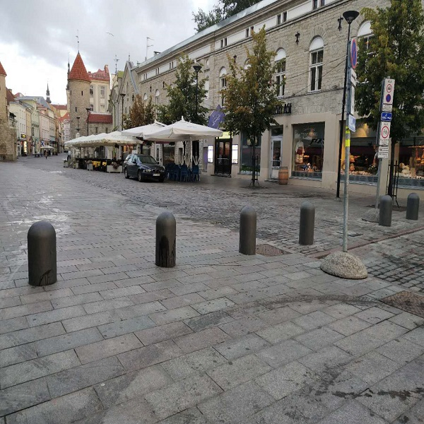 Granite Pillar /Palisade/Parking Ball Garden Pillars